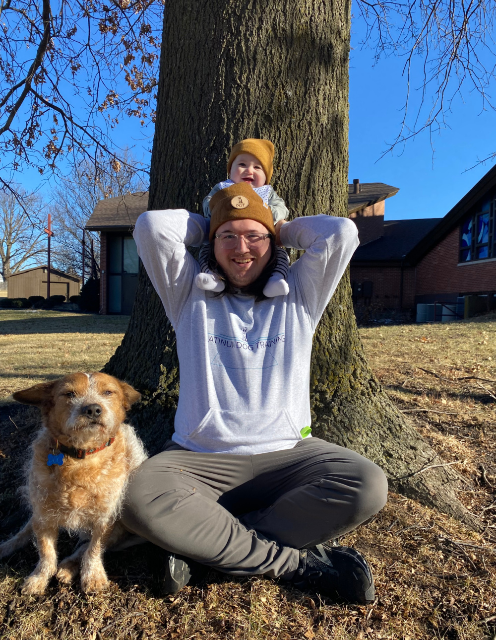 About Platinum Dog Training Des Moines Michael Powles